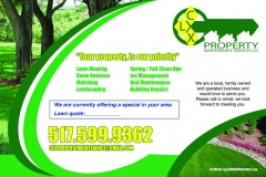 CLX FLYER SIDE 2 NON GLOSSY