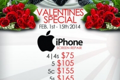 FEB 2014 FLYER