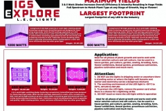 IGS BROCHURE BACK