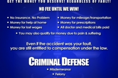 LAW FLYER SIDE2