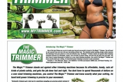flyer-sample