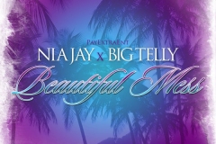 BEAUTIFUL-MESS-COVER