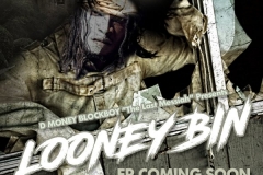 LOONEY BIN COVER