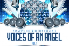 VOICE OF AN ANGEL VOL1 FRONT COVER