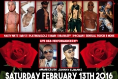 2-13-16 male revue flyer