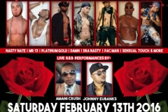 2-13-16 male revue flyer