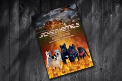 2-9-21-FLYER-mock-up