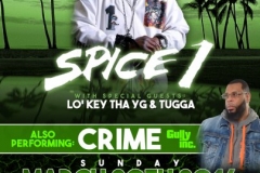 3-20-16 SPICE 1 green flyer