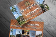 CARD-MOCK-UP