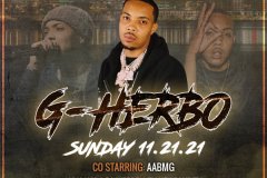 G-HERBO-FLYER
