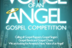 VOICE OF AN ANGEL FLYER