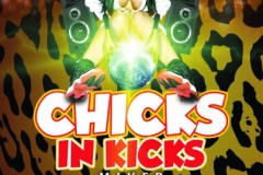 chicks and kicks flyer