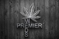 1_MOCK-UP