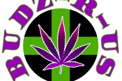 BUDZ R US FINAL LOGO