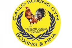 GALLO BOXING LOGO