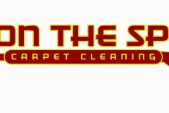 ON THE SPOT 2017 LOGO