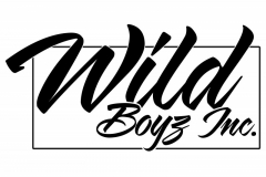 WILD BOYZ INC FINAL LOGO