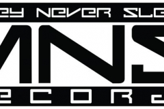 final mns logo small