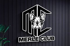 logo-2-mock-up