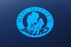 22519420_1559932730738753_2784825035798759745_n