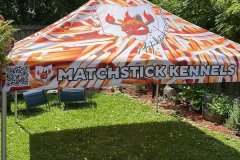 matchstick-canopy